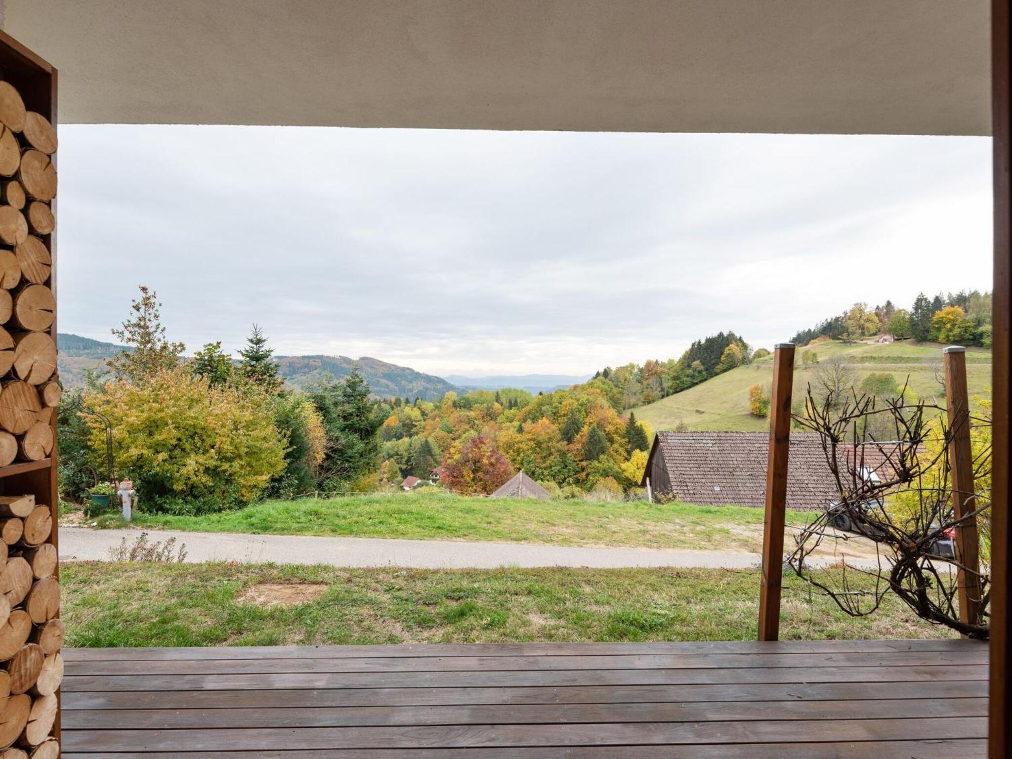 Apartment On The Edge Of The Forest Kleines Wiesental 外观 照片